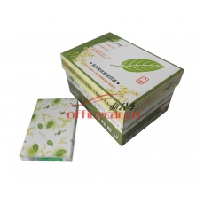 綠葉（GreenLeaf）復印紙 A4/70g 500張/包 10包/箱