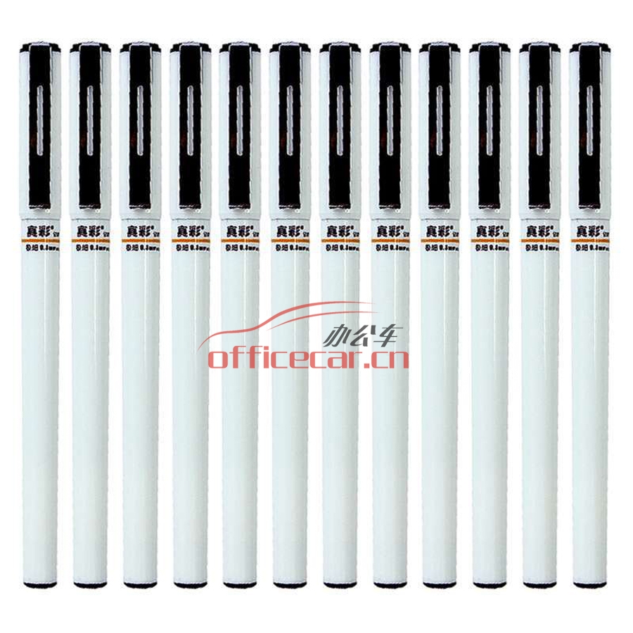 真彩 Truecolor 0251A 極細(xì)記賬中性筆 0.3mm  黑色 12支/盒