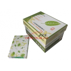綠葉（GreenLeaf）復(fù)印紙 A3/80g 500張/包 5包/箱