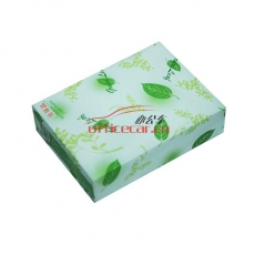 綠葉（GreenLeaf）復(fù)印紙 A5/80g 500張/包 20包/箱
