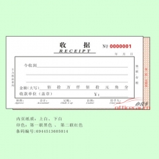 主力 BRUNT 0501 二聯(lián)單欄收據(jù) 48開 20本/封