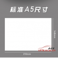 蔡倫星 CLX 復(fù)印紙 A5/80g 500張/包 20包/箱