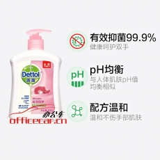滴露 Dettol 健康抑菌洗手液 500ml/瓶 12瓶/箱 (滋潤倍護(hù))
