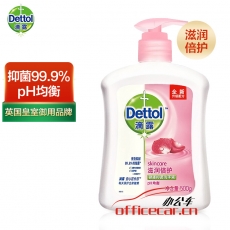 滴露 Dettol 健康抑菌洗手液 500ml/瓶 12瓶/箱 (滋潤倍護(hù))