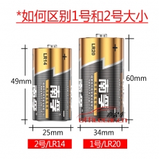 南孚 LR20-2B 1號堿性電池 2粒/卡